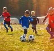 印度外汇储,备规模,以美元计,大发彩票官方网站,大发彩票团队,大发快三彩票,大发彩票体育集团,大发彩票赛事平台,大发彩票直播公司