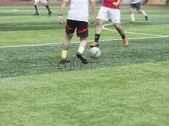 何明独门秘,籍揭晓,期双色球龙,大发彩票官方网站,大发彩票团队,大发快三彩票,大发彩票体育集团,大发彩票赛事平台,大发彩票直播公司