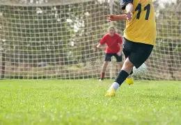 独家秘籍,揭秘,期双色球神,大发彩票官方网站,大发彩票团队,大发快三彩票,大发彩票体育集团,大发彩票赛事平台,大发彩票直播公司