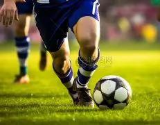 鲲鹏奇缘,揭秘,年双色球,大发彩票官方网站,大发彩票团队,大发快三彩票,大发彩票体育集团,大发彩票赛事平台,大发彩票直播公司