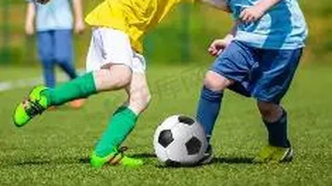 [双色球预测达人]2026年首期双色球揭秘：红球三胆必看，选号技巧大公开！