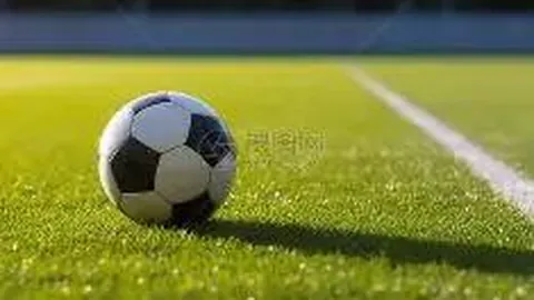 【独家揭秘】26013期大乐透中奖秘籍：揭秘前区必杀号码组合——01、04、23、25、31、34！